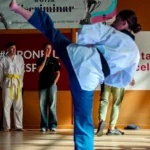 Gironella tanca la temporada 2025-2026 del Taekwondo FAMC